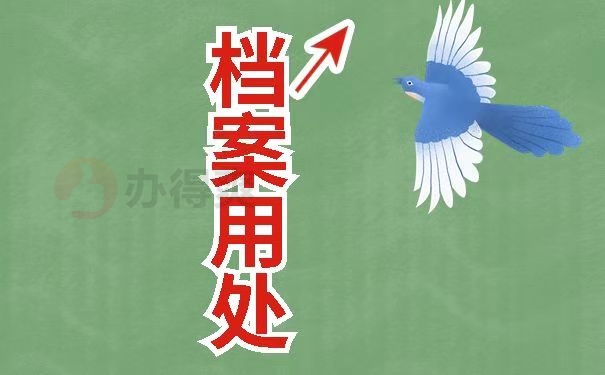 档案用处