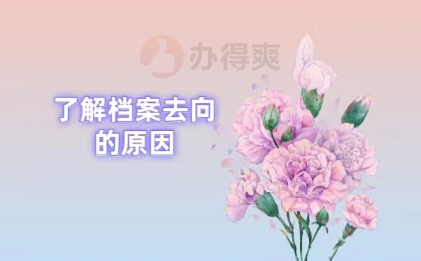 了解档案去向的原因