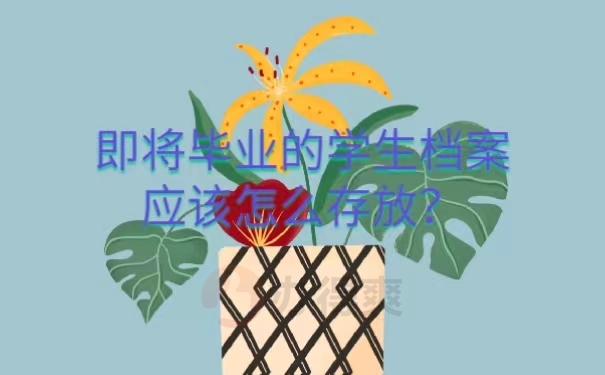 即将毕业的学生档案应该怎么存放？