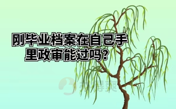 刚毕业档案在自己手里政审能过吗？