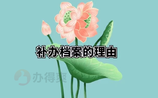 补办档案的理由