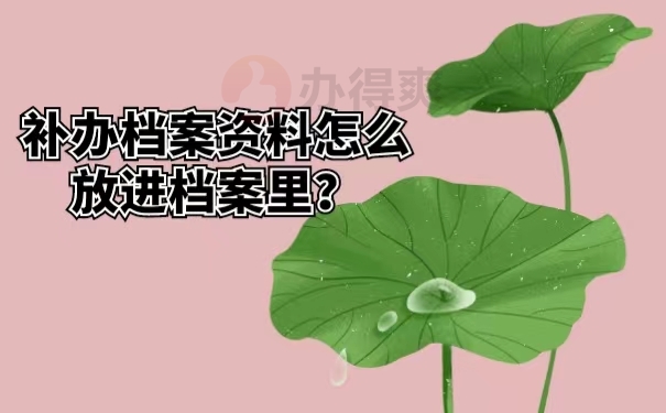 补办档案资料怎么放进档案里？