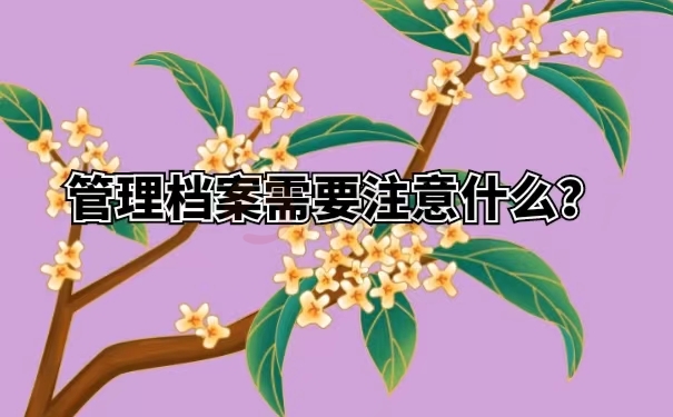 管理档案需要注意什么？