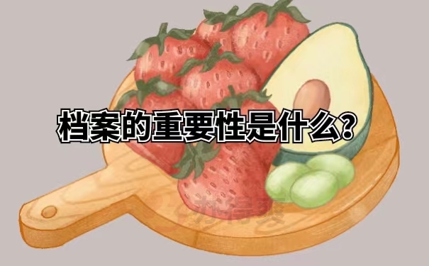 档案的重要性是什么？