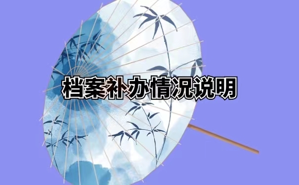 档案补办情况说明