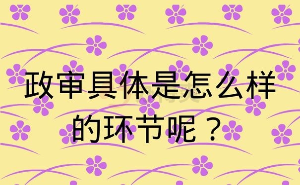 政审具体是怎么样的环节呢？