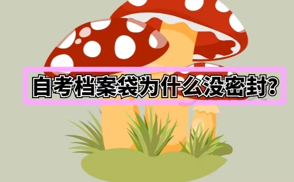 自考档案袋为什么没密封？