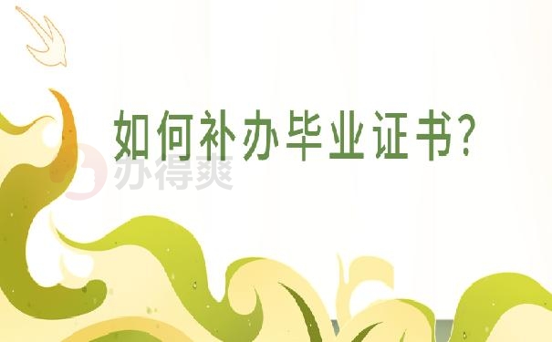 补办学籍档案
