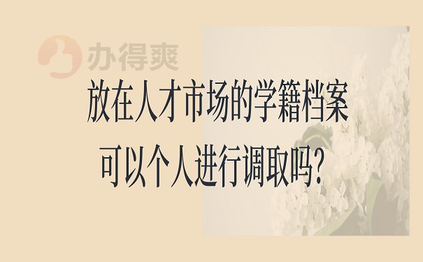 放在人才市场的学籍档案可以个人进行调取吗？