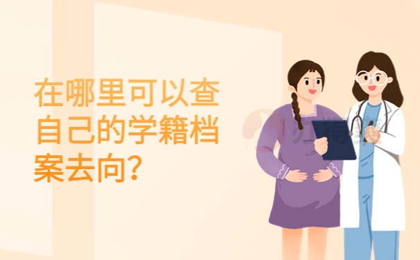 在哪里可以查自己的学籍档案去向？