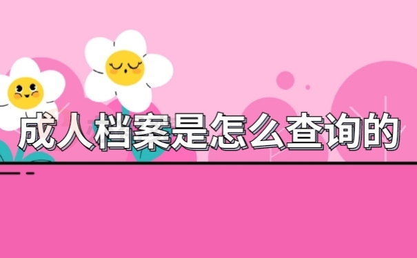 档案查询