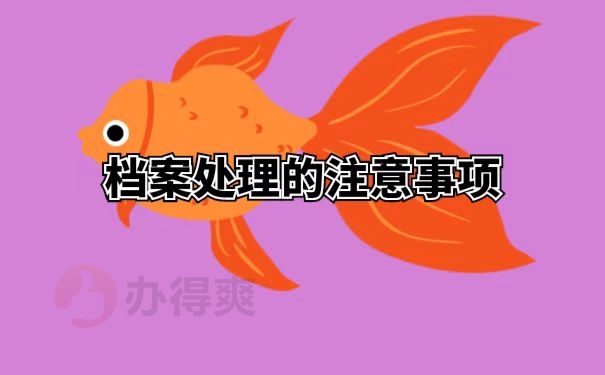 档案处理的注意事项