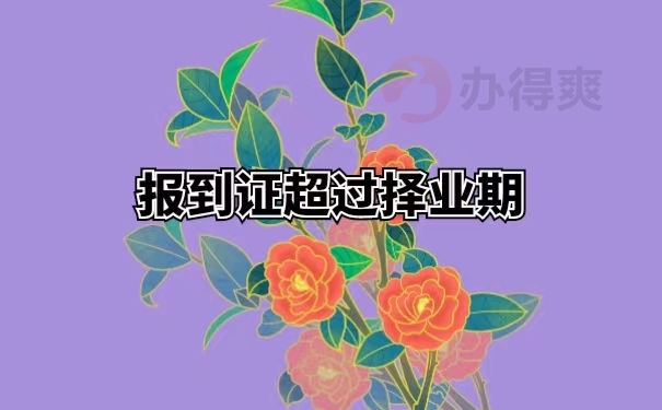 报到证超过择业期