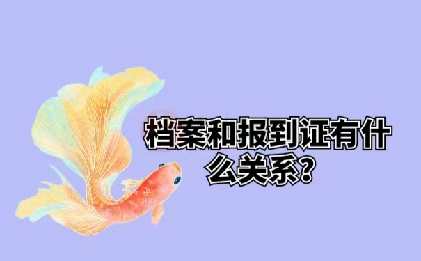 档案和报到证有什么关系？