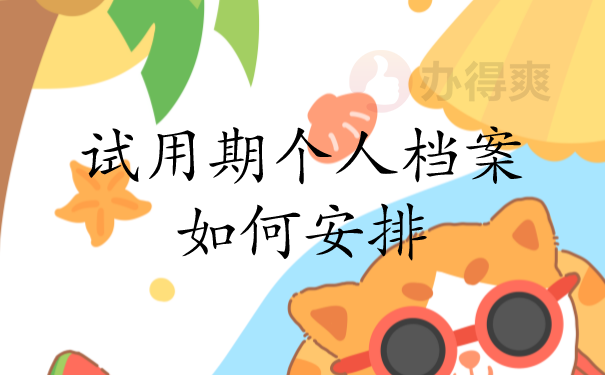 试用期个人档案