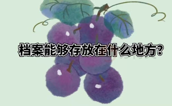 档案能够存放在什么地方？