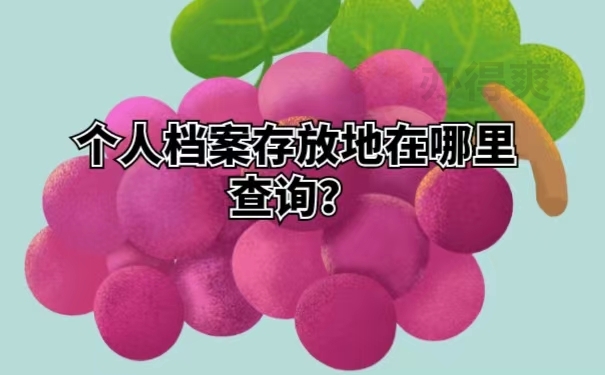 个人档案存放地在哪里查询？
