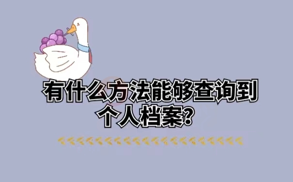 有什么方法能够查询到个人档案？