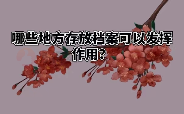 哪些地方存放档案可以发挥作用？