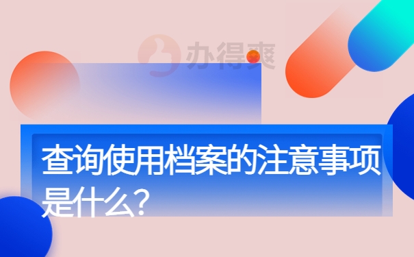 查询使用档案的注意事项是什么？