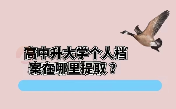 高中升大学个人档案在哪里提取？