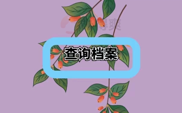 查询档案
