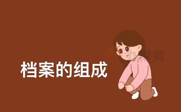 档案的组成