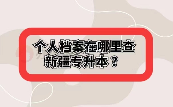 个人档案在哪里查新疆专升本 ？