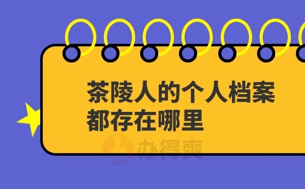 个人档案查询