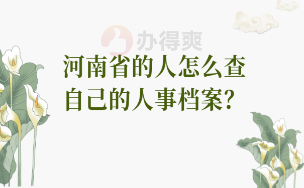 河南省的人怎么查自己的人事档案？