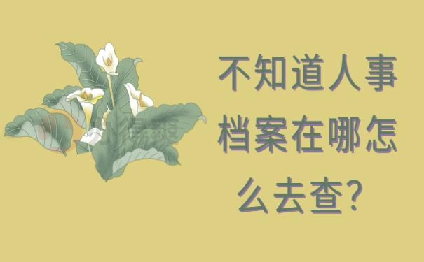 怎么查人事档案？