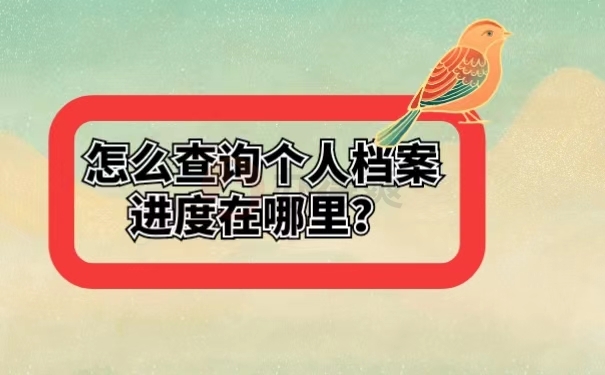 怎么查询个人档案进度在哪里？
