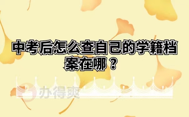 中考后怎么查自己的学籍档案在哪？