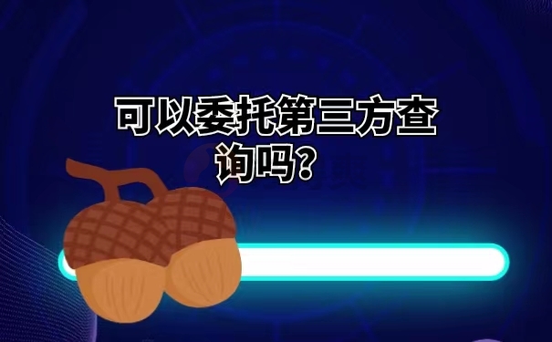 可以委托第三方查询吗？