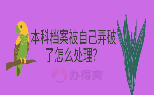 本科档案在自己手里