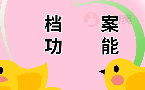 档案功能