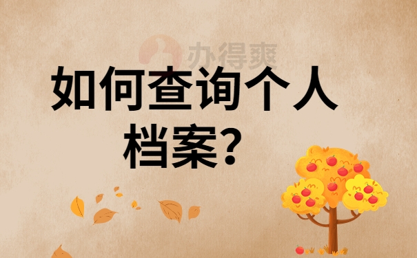 如何查询个人档案？