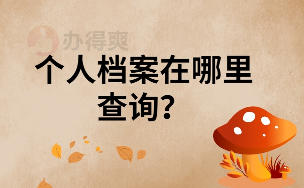 档案在哪里查询？