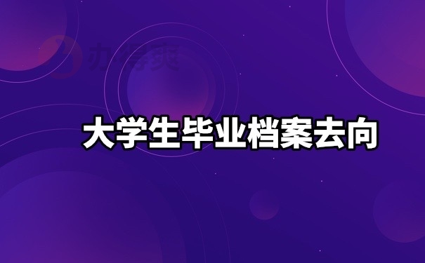 毕业生档案去向