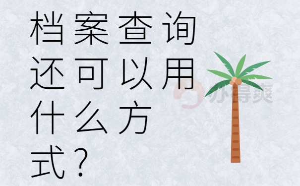 档案查询还可以用什么方式?