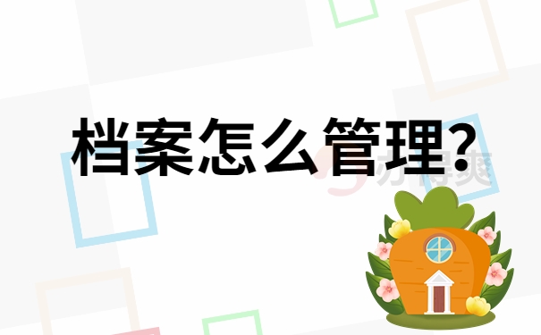 档案怎么管理？