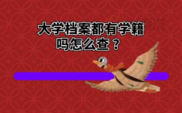 大学档案都有学籍吗怎么查 ？