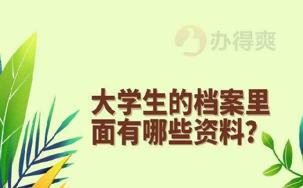 大学生个人档案资料