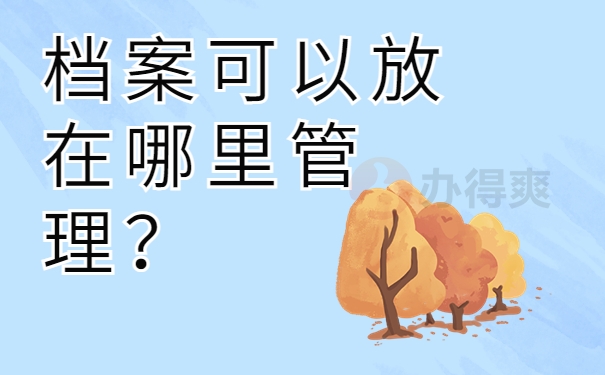 档案可以放在哪里管理？