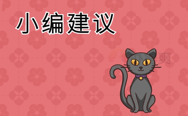 小编建议