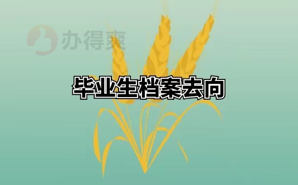 毕业生档案去向