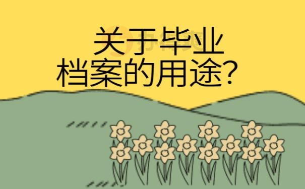 大学毕业档案