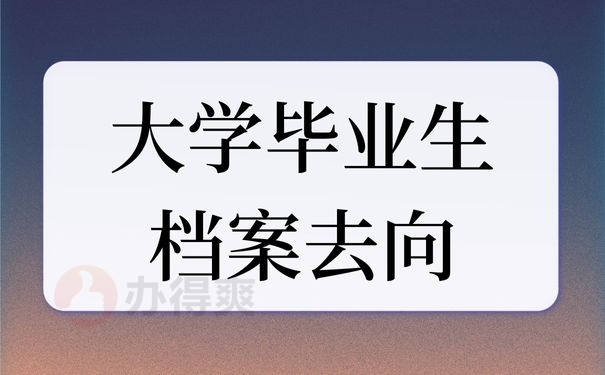 大学毕业生档案去向