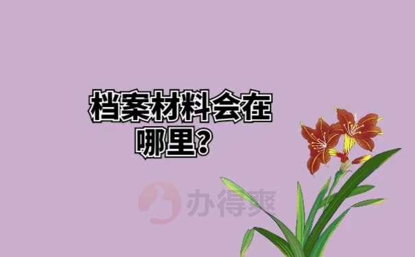 档案材料会在哪里？