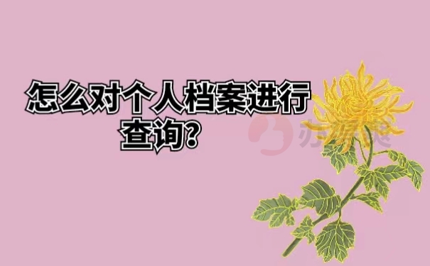 怎么对个人档案进行查询？